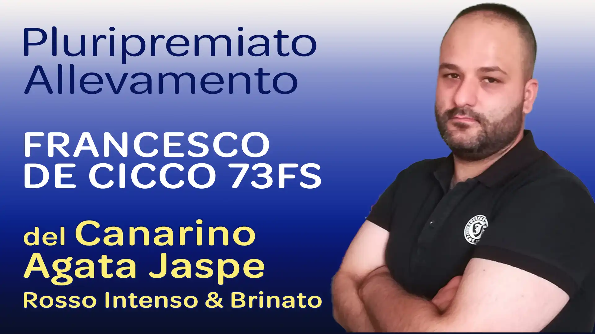 Allevamento del Canarino Agata Jaspe Rosso - Francesco De Cicco 73FS