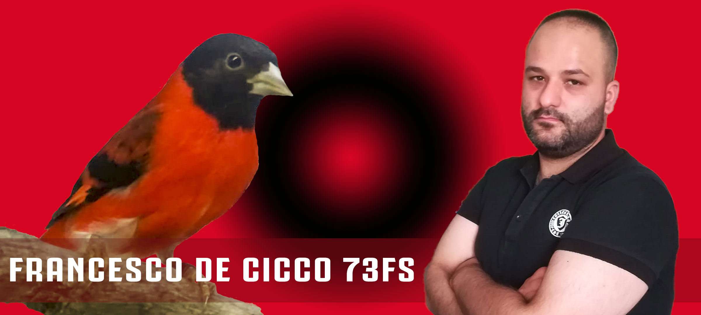 Allevamento del Cardinalino del Venezuela - Francesco De Cicco 73FS