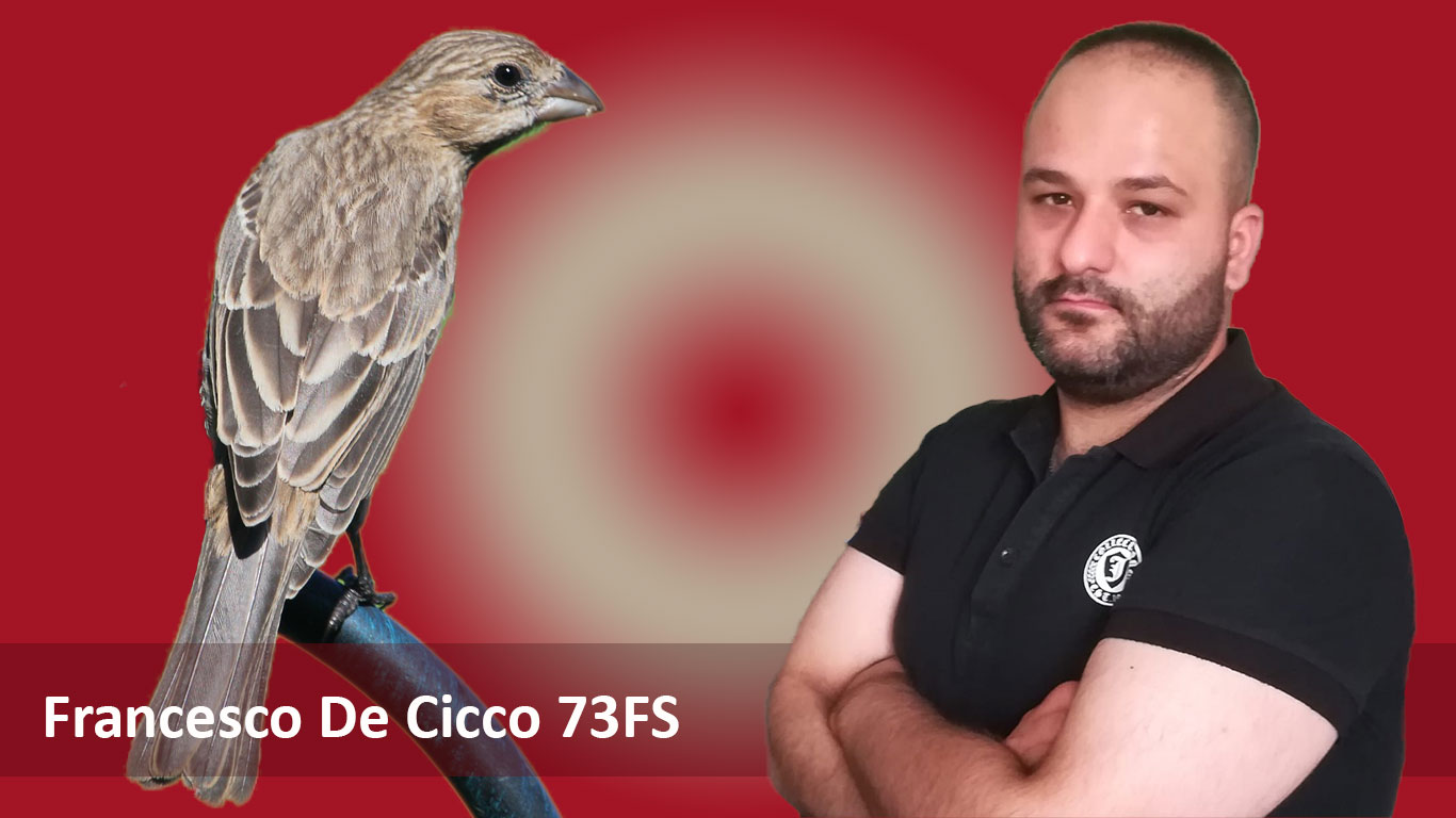 Allevamento del Carpodaco del Messico - Francesco De Cicco 73FS