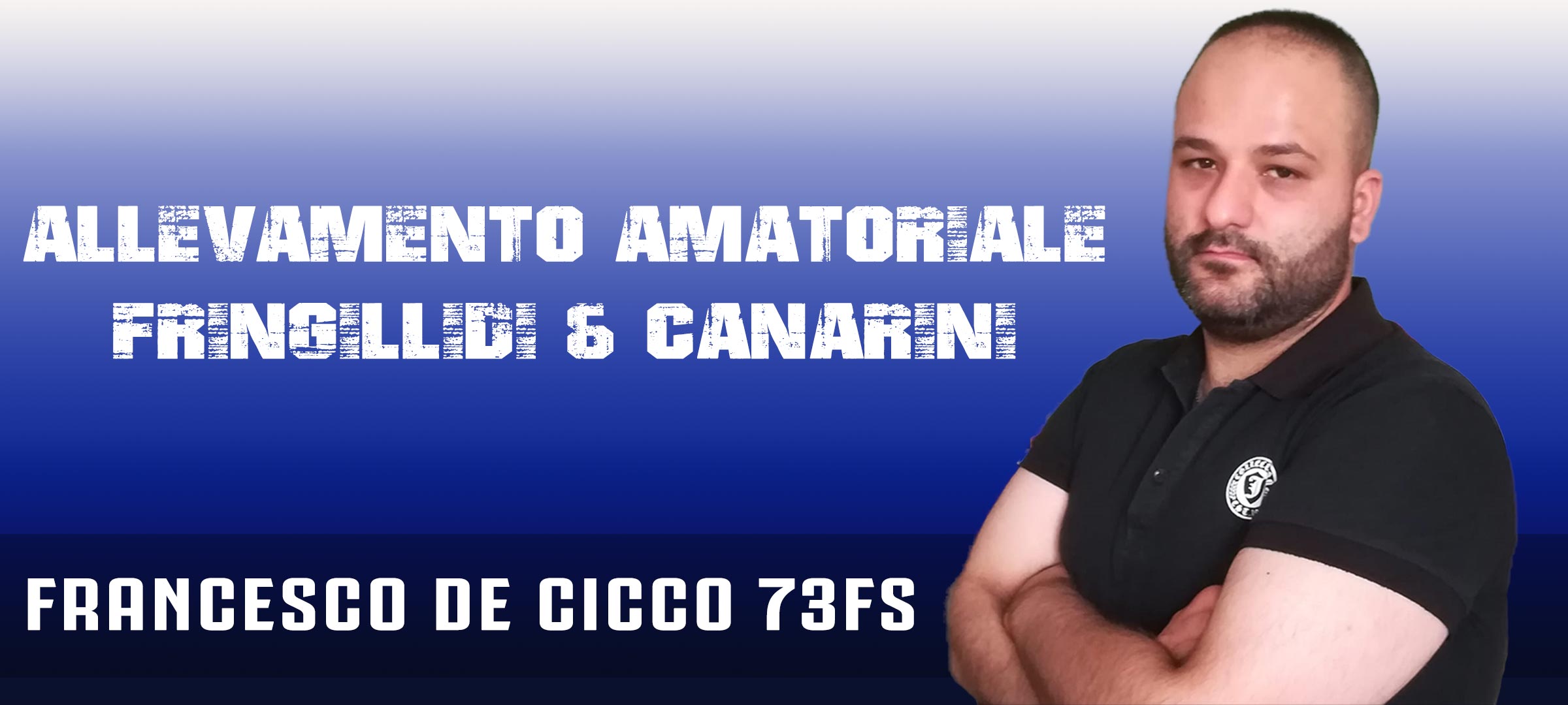 Allevamento Ornitologico Francesco De Cicco 73FS - Mendicino (Italia)