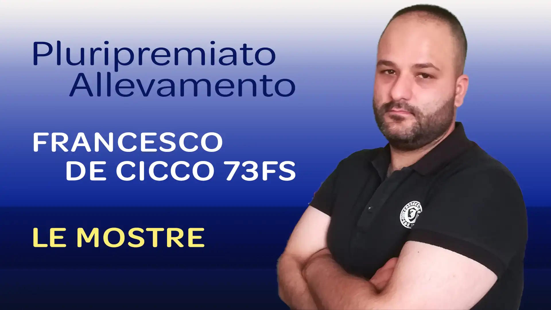 Allevamento Francesco De Cicco 73FS: Le Mostre