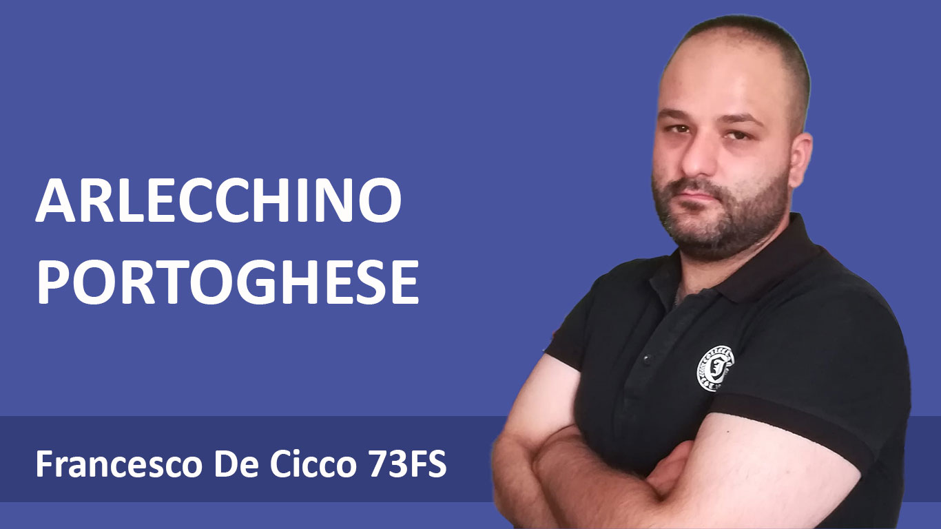 Allevamento del Canarino Arlecchino Portoghese - Francesco De Cicco 73FS