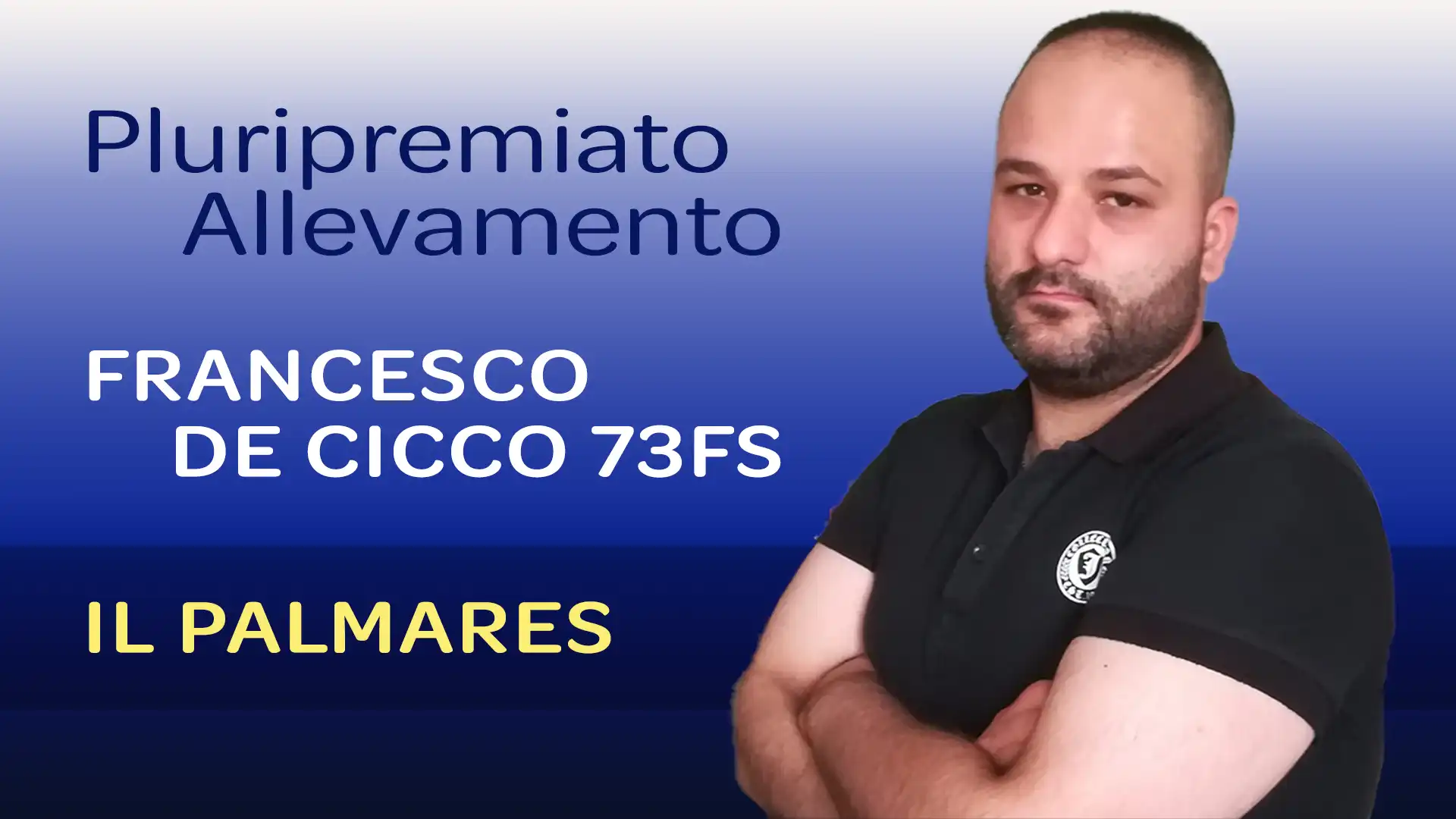 Palmares dell'Allevamento Ornitologico di Francesco De Cicco 73FS Palmares dell'Allevamento Ornitologico di Francesco De Cicco 73FS