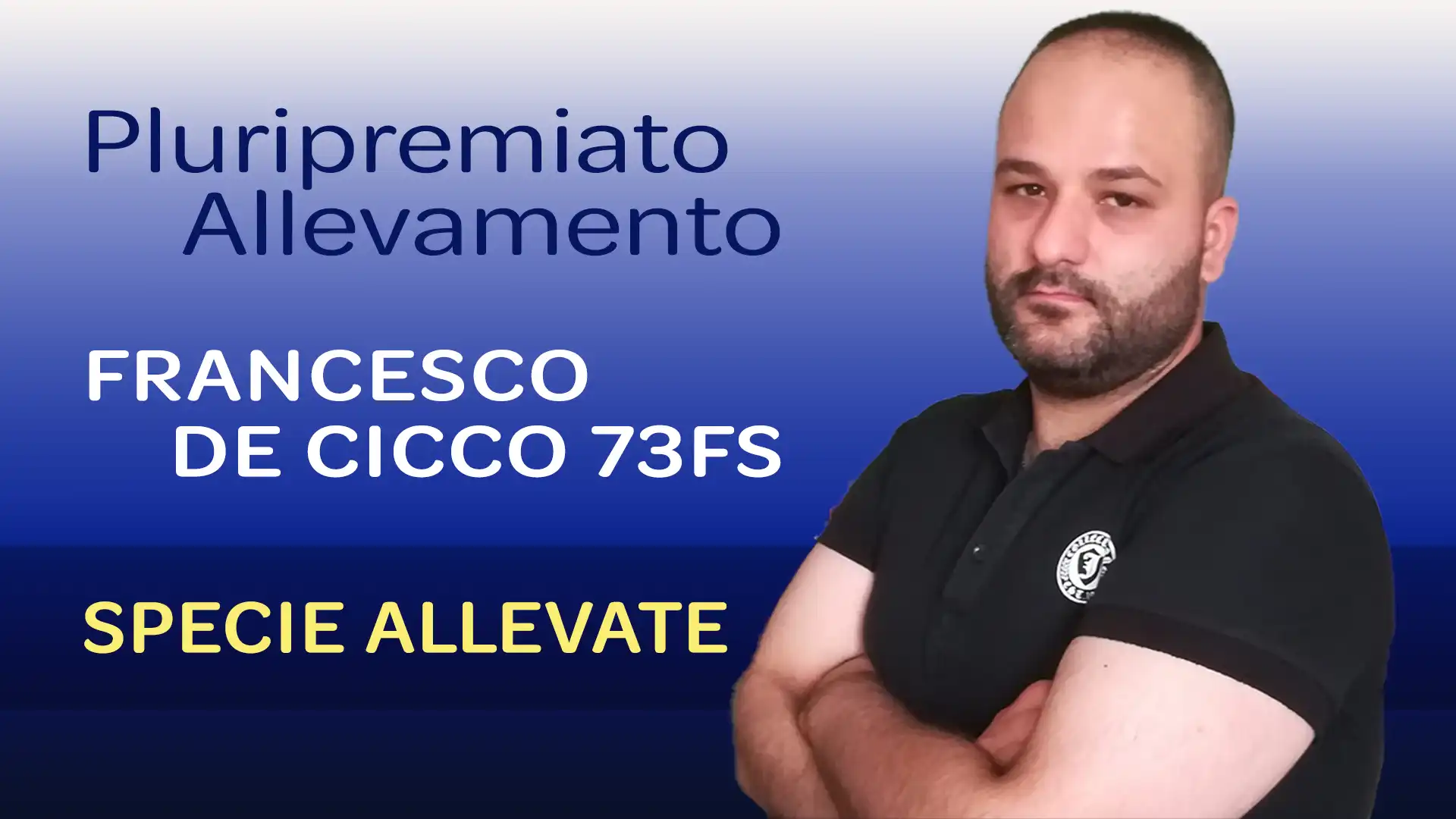 Le Specie Allevante dall'Allevamento Ornitologico Francesco De Cicco 73FS - Mendicino (Calabria)