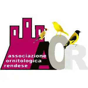 Logo Associazione Ornitologica Rendese
