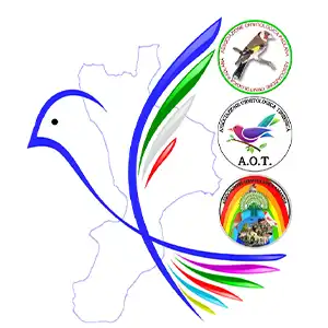 Logo Mostra Ornitologica A.P.T. "Il Colore in Festa sul Tirreno e Il Salone dei Fringillidi"