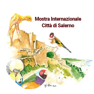 Mostra Internazionale di Salerno