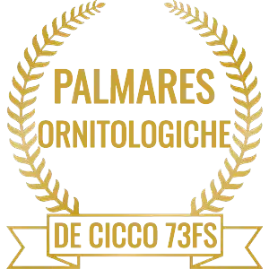Icona Palmares Mostre Ornitologiche - Francesco De Cicco 73FS