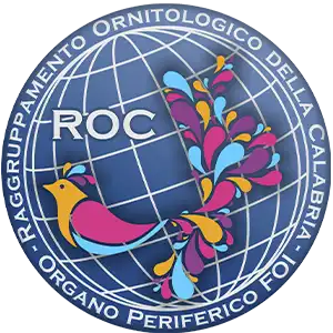 Logo R.O.C. "Raggruppamento Ornitologico Calabro"