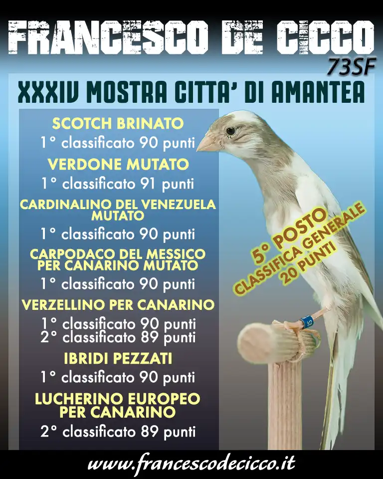 Risultati della Mostra Ornitologica Città di Amantea 2019