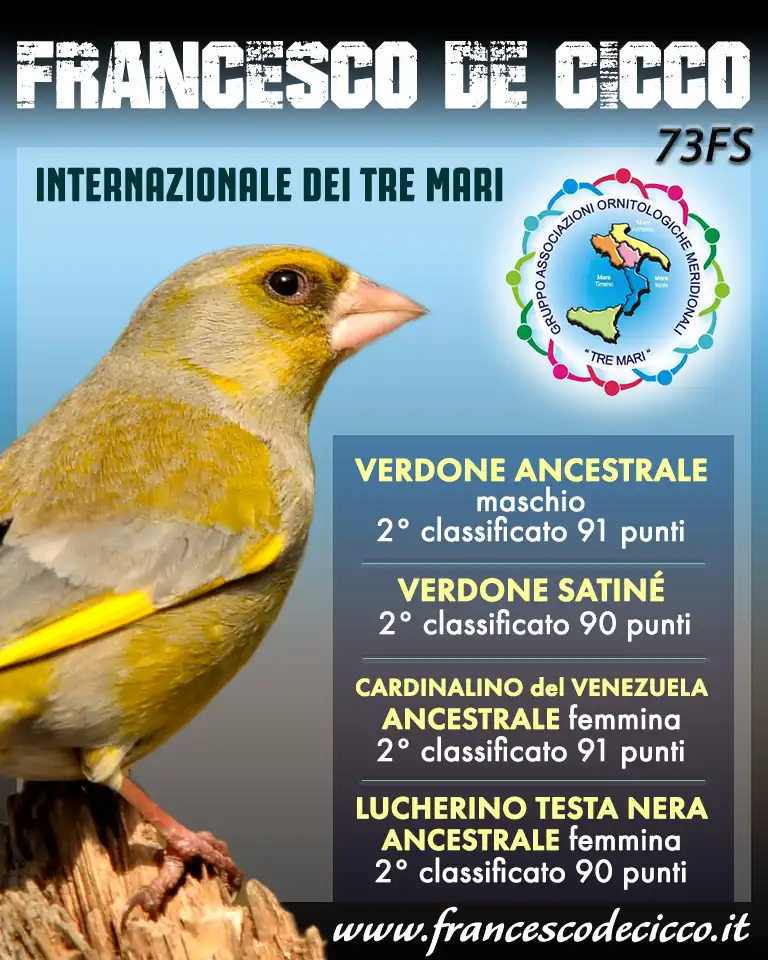 Risultati della Mostra Internazionale dei Tre Mari 2019