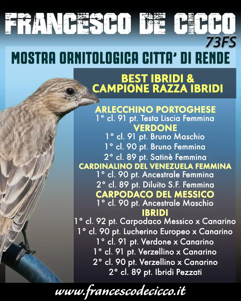 Risultati della Mostra Ornitologica Città di Rende 2019
