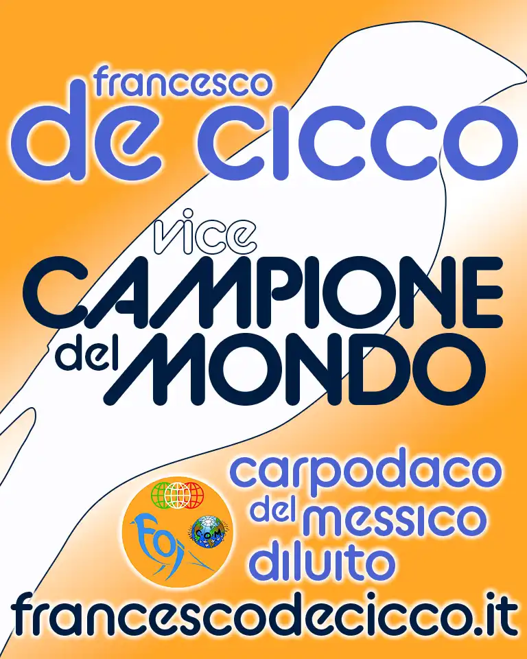 Risultati del Campionato del Mondo 2022