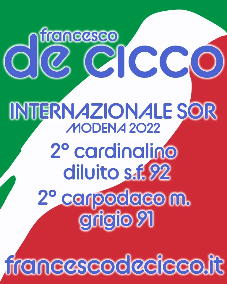 Risultati Mostra Internazionale S.O.R. Modena 2022
