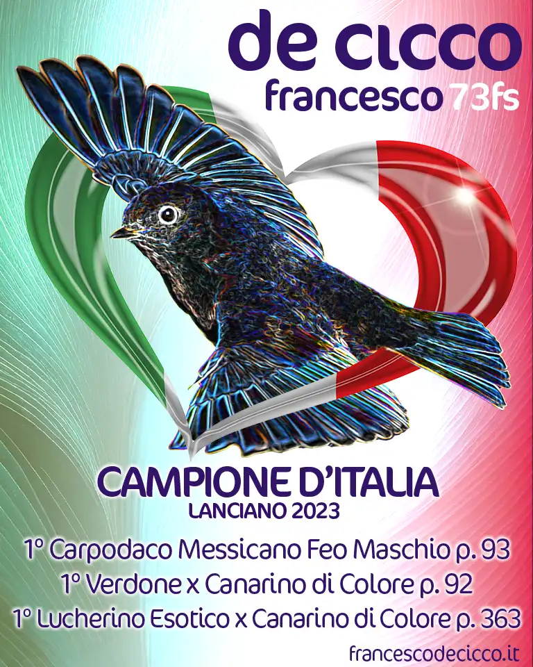 Risultati del Campionato Italiano 2023
