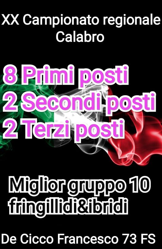 Risultati del Campionato Regionale Calabro 2023