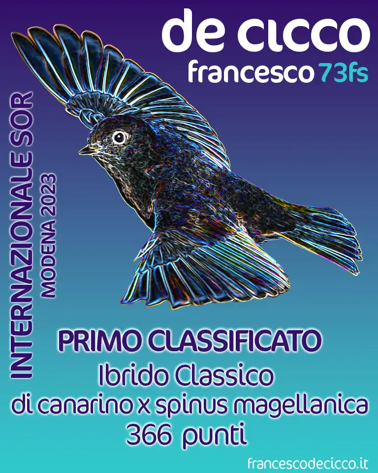 Risultati della Mostra Internazionale SOR Modena 2023