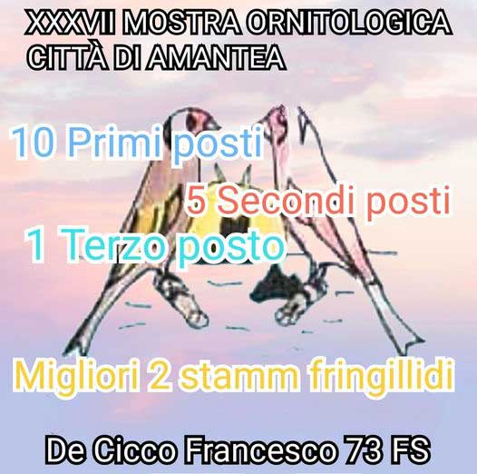 Risultati della Mostra Ornitologica Città di Amantea 2023
