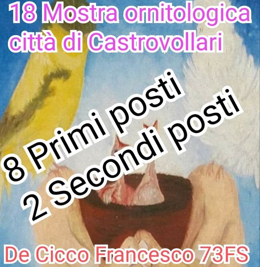 Risultati della Mostra Ornitologica Città di Castrovillari 2023