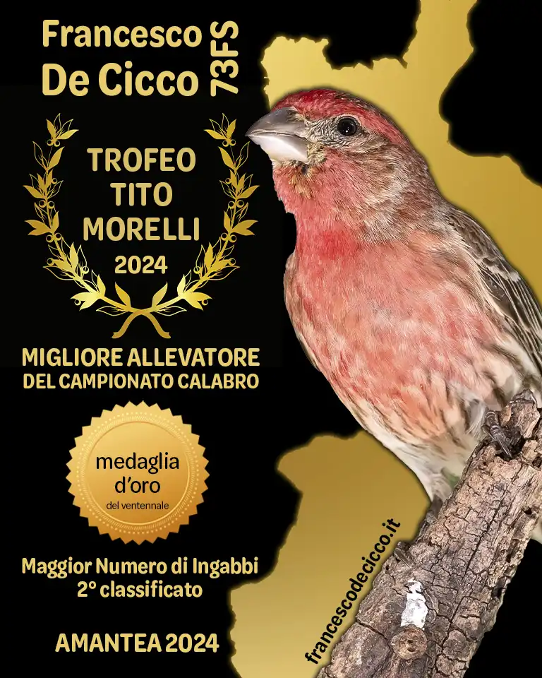 Premiazione Speciale del Campionato Regionale Calabro 2024