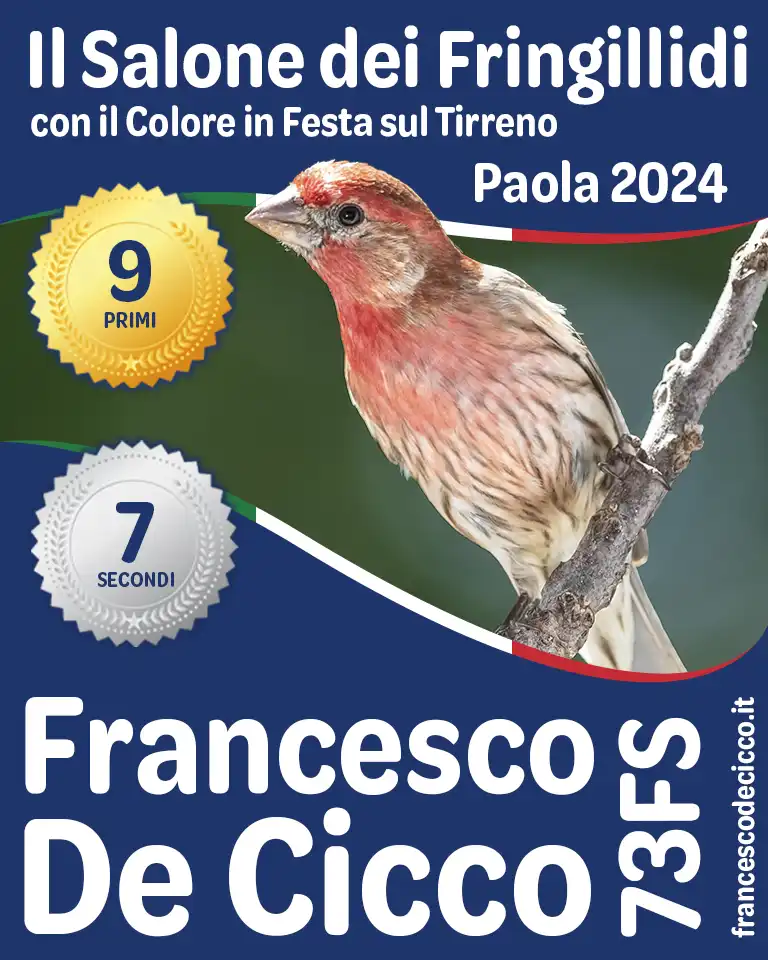 Risultati della Mostra Specialistica Il Salone dei Fringillidi 2024