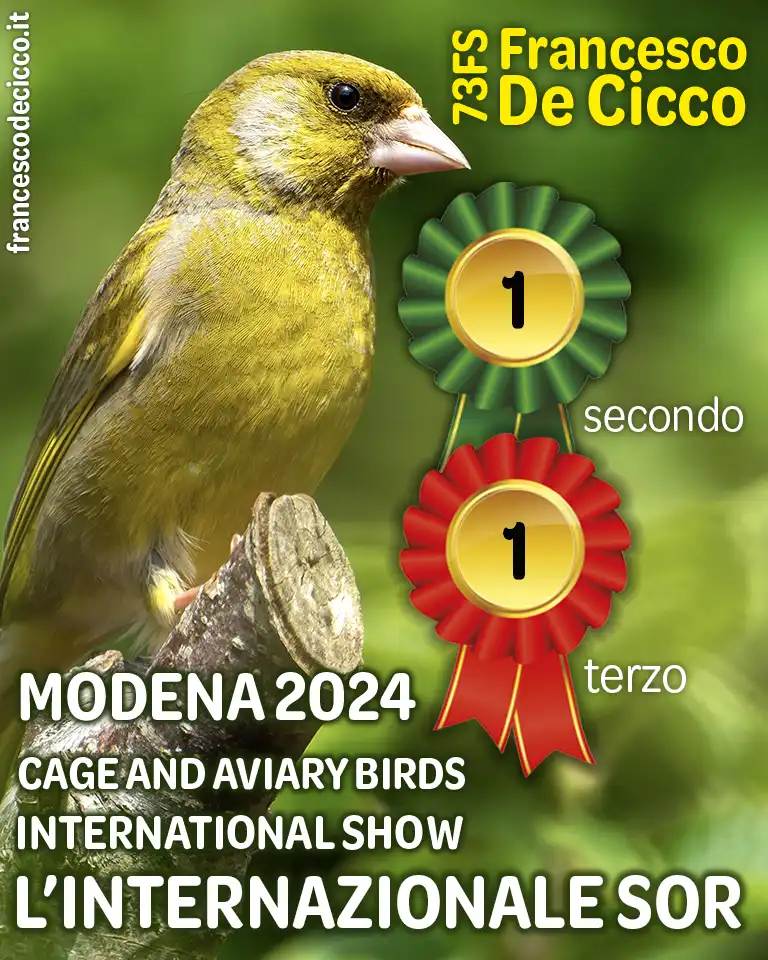 Risultati della Mostra Internazionale S.O.R. di Modena 2024