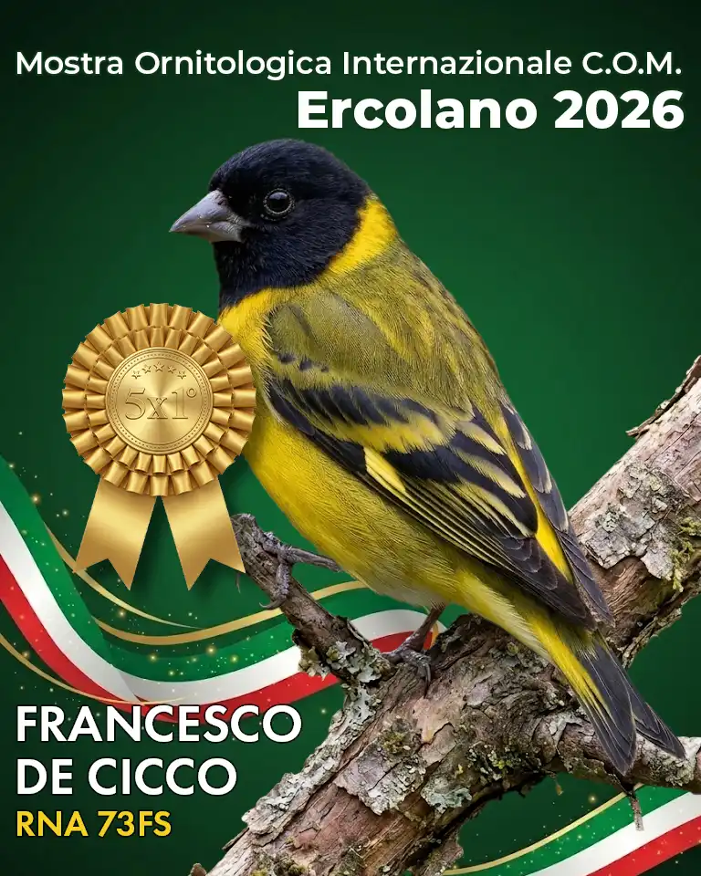 Mostra Internazionale C.O.M. Ercolano 2026