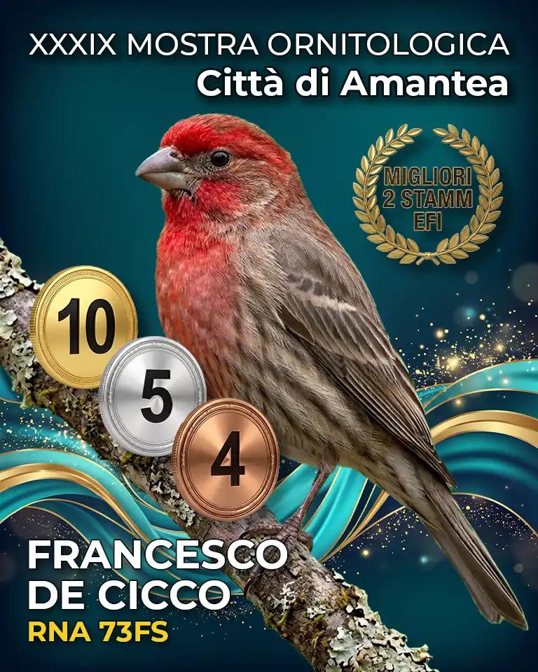 Mostra Ornitologica Città di Amantea 2026