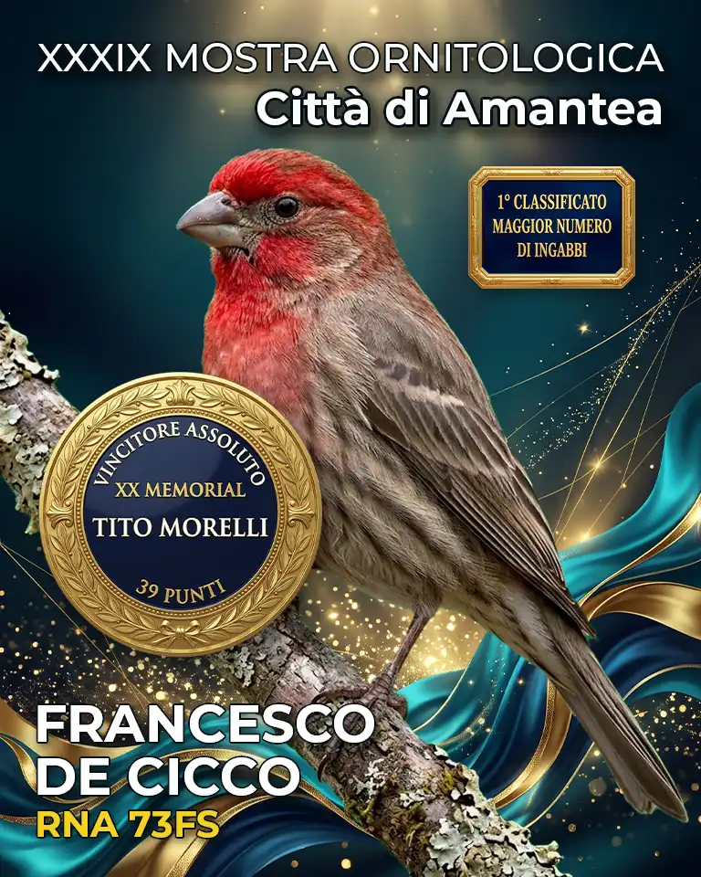 Mostra Ornitologica Città di Amantea 2026 - Memorial Tito Morelli